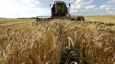 Desacuerdo con las medidas adoptadas por el Gobierno hacia el sector rural