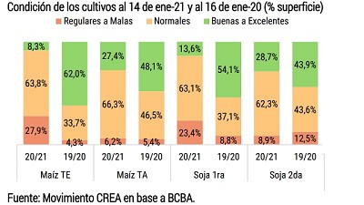 Un nuevo informe de CREA; los granos en duda por la seca, ganadería con luz verde