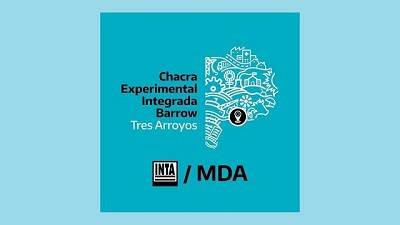 El Ministerio de Desarrollo Agrario de Bs. As. registró dos nuevas variedades de trigo candeal