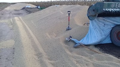 CRA celebra el proyecto que crea la figura de 