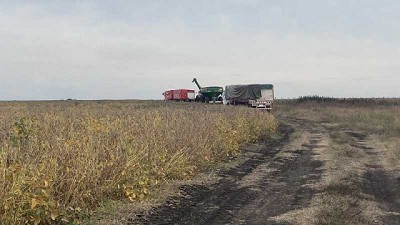 “Auspicioso” arranque de cosecha de soja en el norte del país