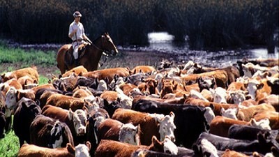 El techo aún está lejos para la carne uruguaya en el mundo