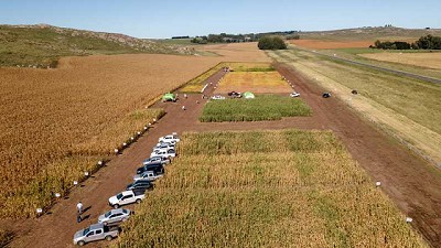 Toda la tecnología para maíz y soja en Expo Nutrien - STINE 2021