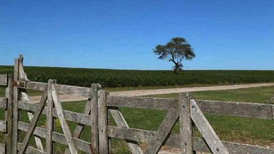 ¿Quién tributa el impuesto de Sellos en los arrendamientos rurales bonaerenses?