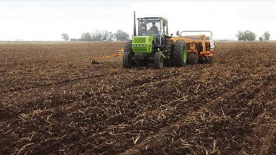 Un millón de hectáreas de trigo sembradas en la región núcleo
