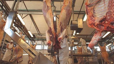 Senacsa estima llegar a faenar 1.200.000 cabezas de ganado para el cierre del primer semestre