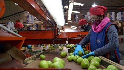 El Gobierno Nacional redujo los derechos de exportación de nuevos productos de las economías regionales