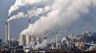 ¿El Gobierno no entiende que los biocombustibles reducen las emisiones de gases efecto invernadero? 