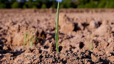 ¿Cómo avanzar a una agricultura más sostenible en América Latina?
