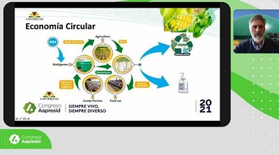 Agricultura circular: desafíos y oportunidades para su implementación. Experiencias de los Países Bajos y Argentina