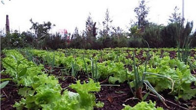 El ministro Rodríguez analizó los avances de las líneas de trabajo desarrolladas por el MDA para potenciar la agricultura familiar