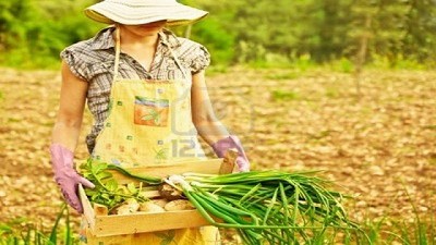 La UE busca tener un 25% de la superficie agraria BIO para el 2030