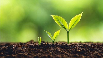 Expertos entregan desafíos de los agronegocios para lograr cero emisiones de gases de efecto invernadero