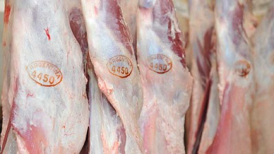 En septiembre las exportaciones de carne vacuna continuaron recuperándose de la caída de junio-julio