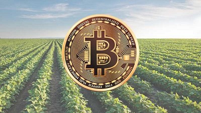 Lanzamiento de los índices Agrotoken de granos