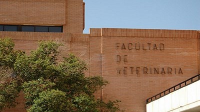 Sólo 1 de cada 3 argentinos cuenta con formación terciaria o universitaria