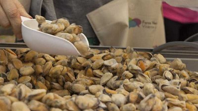 Marea roja: Recomendaciones para un consumo seguro y responsable de mariscos