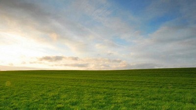 Implicancias fiscales del arrendamiento o aparcerías para el dueño de la tierra