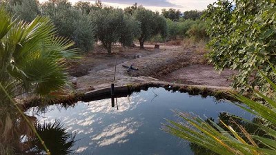 Los humedales en el árido, tan vitales como el agua