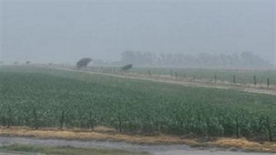 Registro de lluvias caídas en las ultimas horas - 02/02/2022 y 03/02/2022