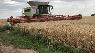 La calidad de cosecha, una obsesión que es negocio