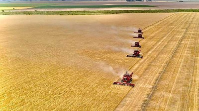 Case IH acompaña el crecimiento en los campos argentinos
