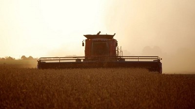 Cosecha: estrategias para maximizar su eficiencia