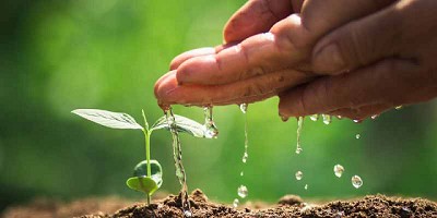 Julián Domínguez presentó en Israel el Plan Nacional de Riego Sustentable: 