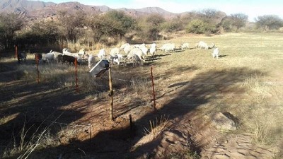 Boyeros solares, energía para el desarrollo productivo de las familias rurales