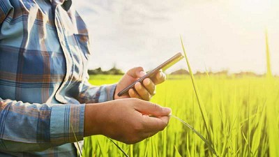 Conflicto entre ciencia, salud, sustentabilidad, el uso del principio precautorio