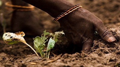 En un año el número de personas con hambre América Latina y el Caribe creció en 4 millones