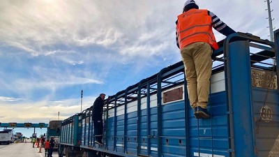Controles sanitarios en puntos estratégicos de circulación de la provincia de Buenos Aires