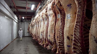 En junio se faenaron 1,133 millones de cabezas de hacienda vacuna