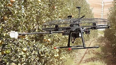 La importancia de incorporar la Inteligencia Artificial en la Agroindustria