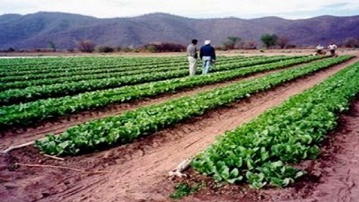 El Gobierno transfirió más de $1800 millones del Fondo Especial de Tabaco