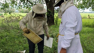 Capacitaciones sobre sanidad apícola para productores y técnicos de Córdoba