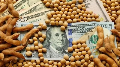 Dólar Soja: malo en el largo plazo y no tan bueno en el corto plazo