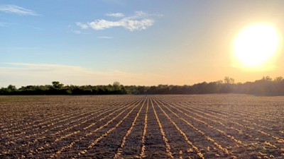 SOS sino llueve estamos todos en el horno..., y no va a llover; por Ricardo Bindi
