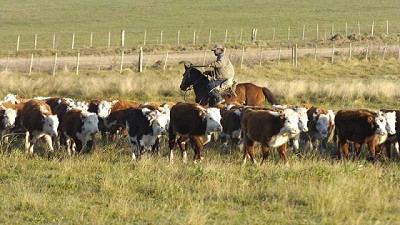 Primer sello de carne carbono neutral del Uruguay