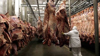 La faena de hacienda vacuna creció en noviembre y cumplió cuatro meses en ascenso