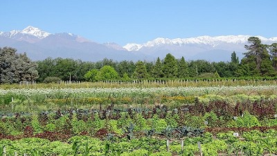 La agricultura regenerativa se extiende en la región Cuyo