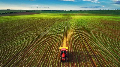 100.000 hectáreas: Bill Gates está levantando el mayor imperio agrícola de Estados Unidos
