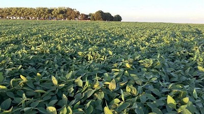 Termina el 2022 con la primavera más seca de los últimos 35 años y con caídas del 50% en los rindes potenciales de soja de primera