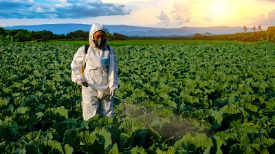 Factores de riesgo asociados al uso de herbicidas residuales