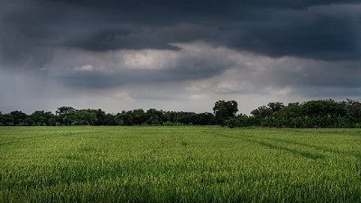 Una oportunidad para parte de la zona núcleo - CCA/Agrositio