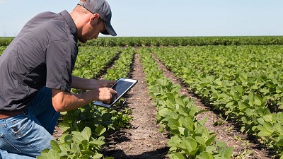 Productores que impulsan la innovación y la sustentabilidad en el agro