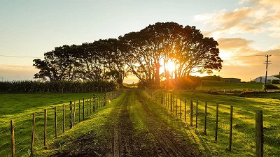 Las lluvias frenarán el declive de la soja de segunda y el maíz tardío, y podrán compensar las pérdidas