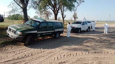 Influenza aviar: 4 nuevos casos positivos en las provincias de Buenos Aires y Córdoba