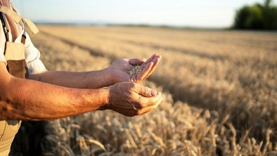 ¿Cuán sustentable es el Agro argentino?
