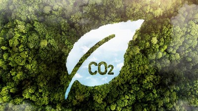 Conservación de espacios naturales y menor Huella de carbono en el Gran Chaco